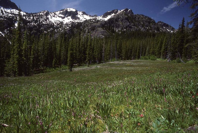 1984-014 Mt Stuart Jul-1984 01.jpg
